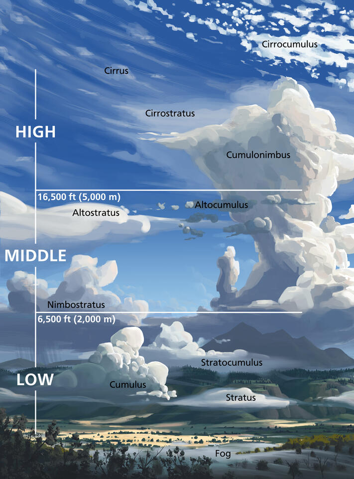 Cloud Chart